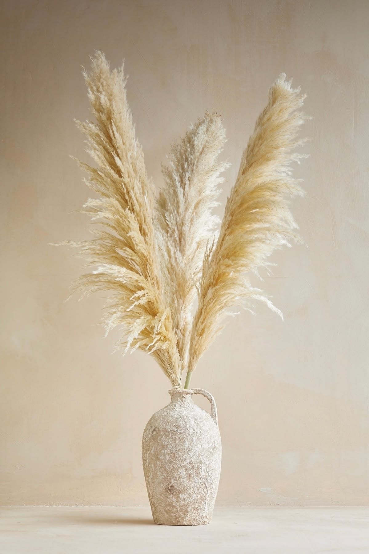 Paquete de pampas importadas (Eternizadas)