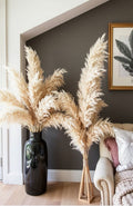 Paquete de pampas importadas (Eternizadas)